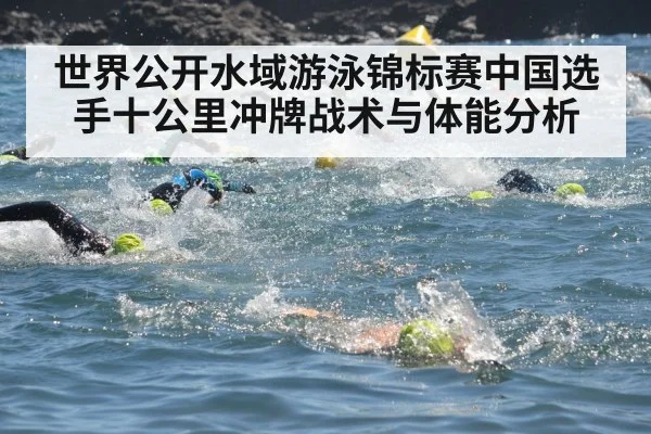 世界公开水域游泳锦标赛中国选手十公里冲牌战术与体能分析（leyuSport）